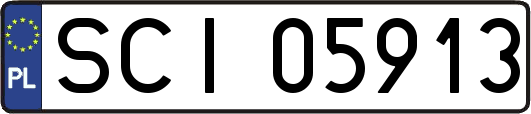 SCI05913