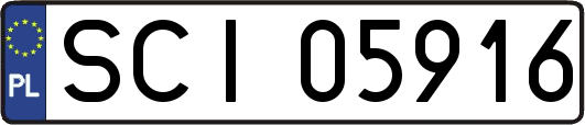 SCI05916
