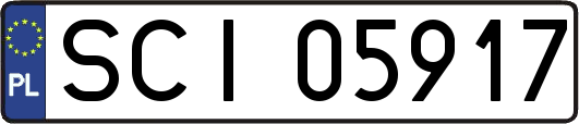 SCI05917