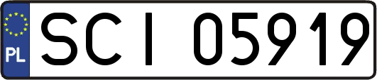 SCI05919