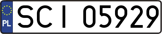 SCI05929