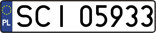 SCI05933