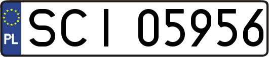 SCI05956