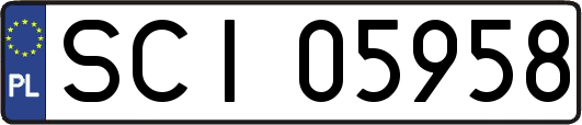 SCI05958