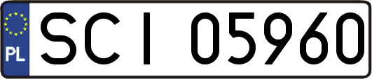 SCI05960