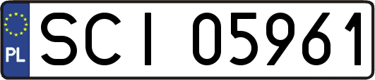 SCI05961