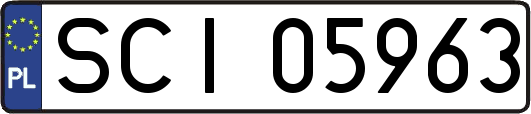SCI05963