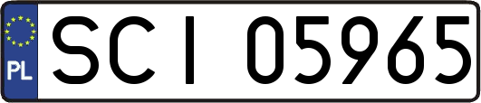 SCI05965
