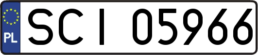 SCI05966