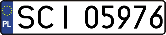 SCI05976