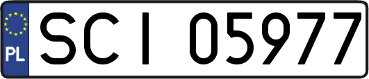 SCI05977