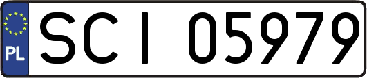 SCI05979
