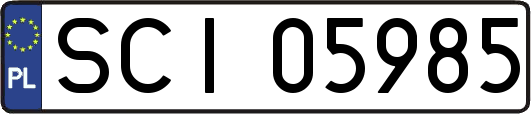 SCI05985