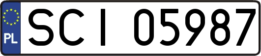 SCI05987