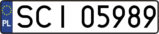SCI05989