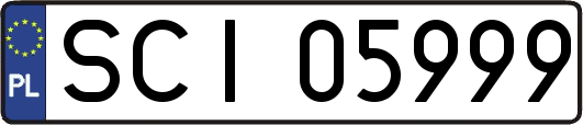 SCI05999