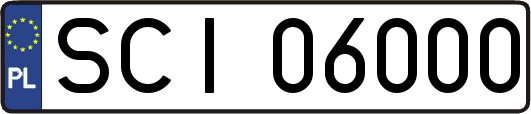SCI06000