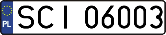 SCI06003