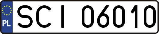 SCI06010