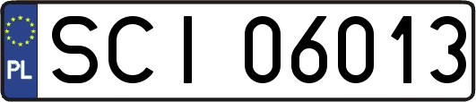 SCI06013