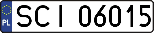 SCI06015