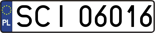 SCI06016