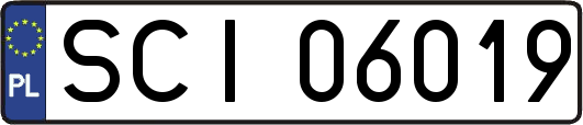SCI06019