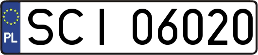 SCI06020