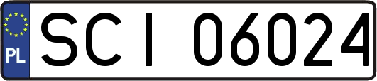 SCI06024