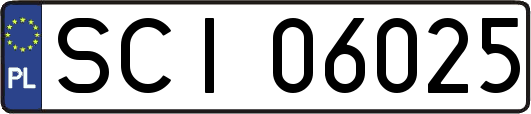 SCI06025