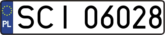 SCI06028
