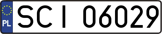 SCI06029