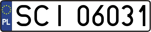 SCI06031