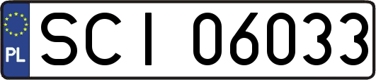 SCI06033