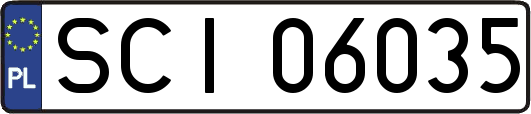 SCI06035