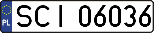 SCI06036