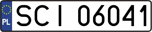 SCI06041