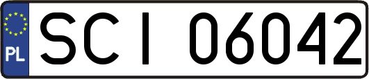 SCI06042