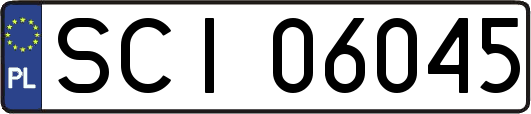 SCI06045