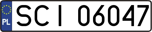 SCI06047
