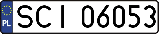 SCI06053
