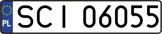 SCI06055