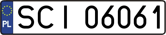 SCI06061