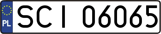 SCI06065