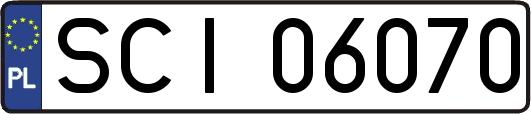 SCI06070