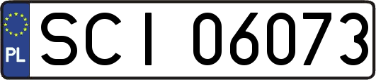 SCI06073