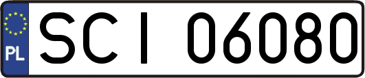 SCI06080
