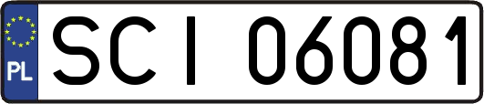 SCI06081