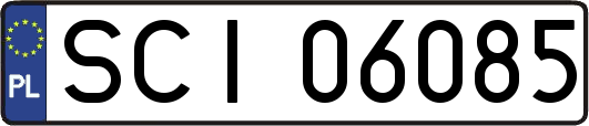 SCI06085