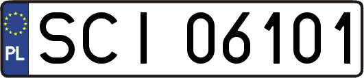 SCI06101